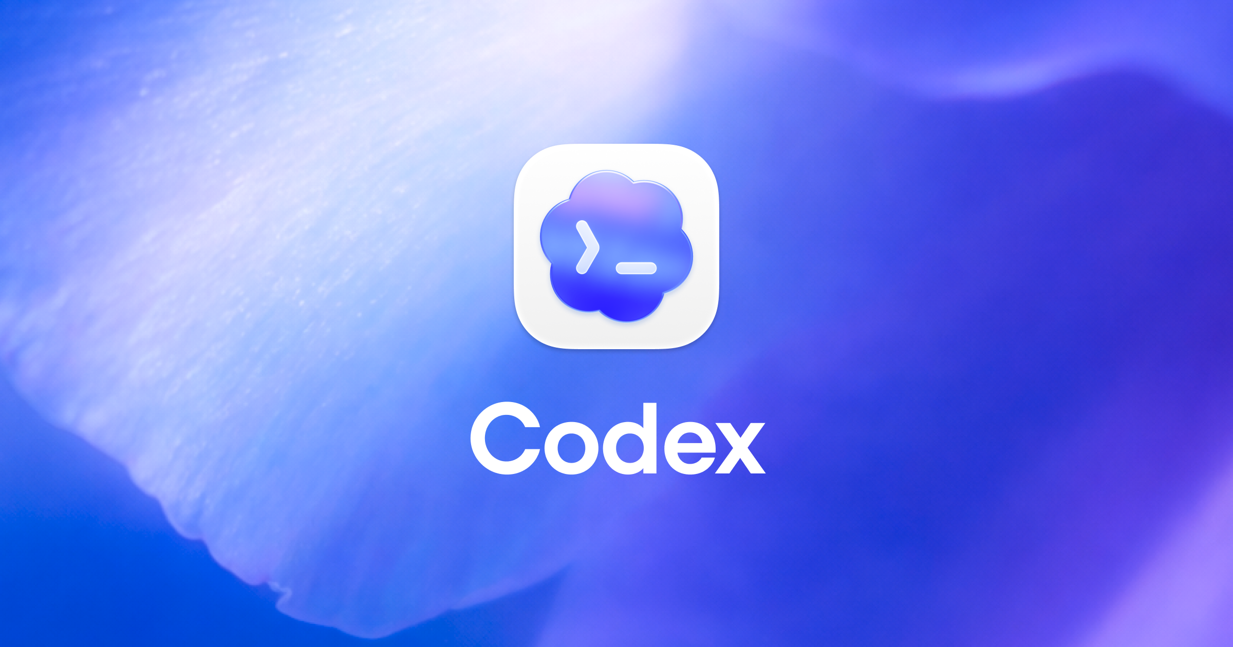 Oficiální vizuál Codex od OpenAI